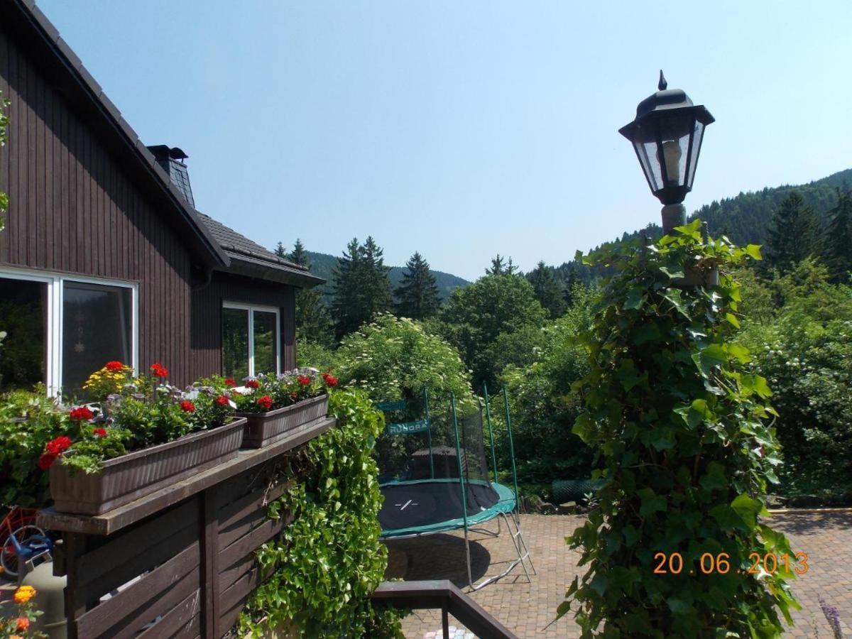 Gaestezimmer Haus Talblick Lautenthal Ngoại thất bức ảnh