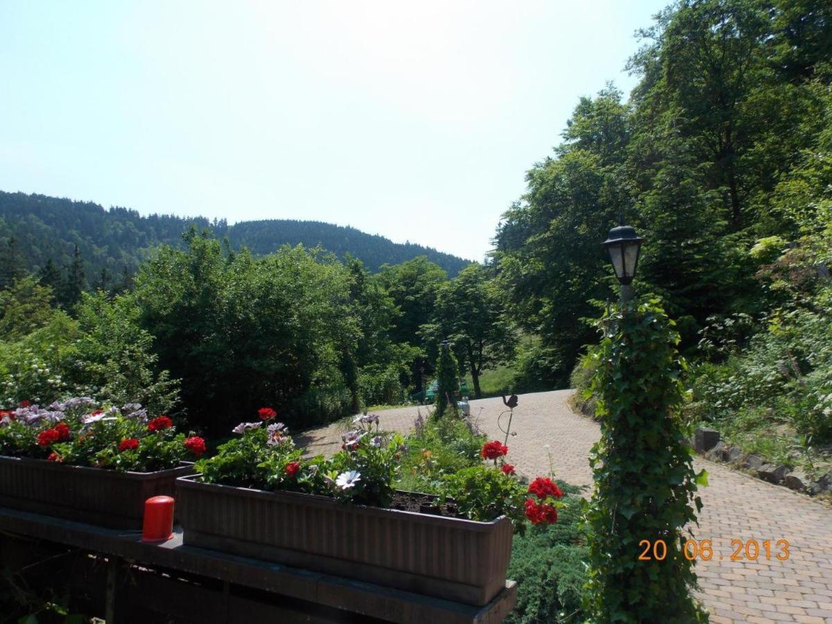 Gaestezimmer Haus Talblick Lautenthal Ngoại thất bức ảnh