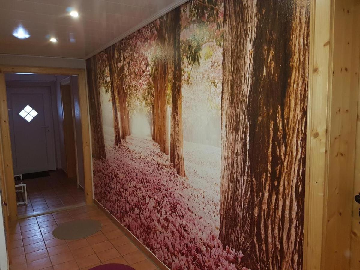 Gaestezimmer Haus Talblick Lautenthal Ngoại thất bức ảnh