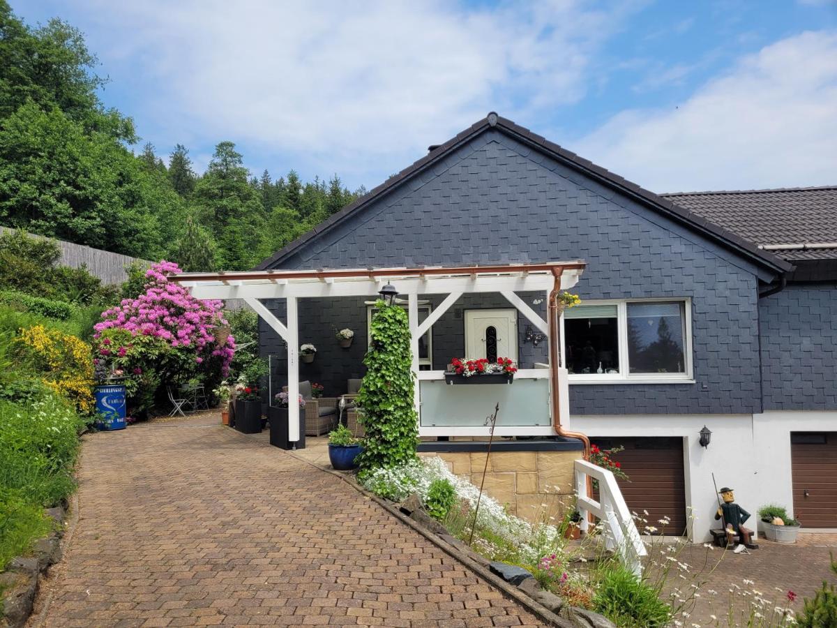 Gaestezimmer Haus Talblick Lautenthal Ngoại thất bức ảnh