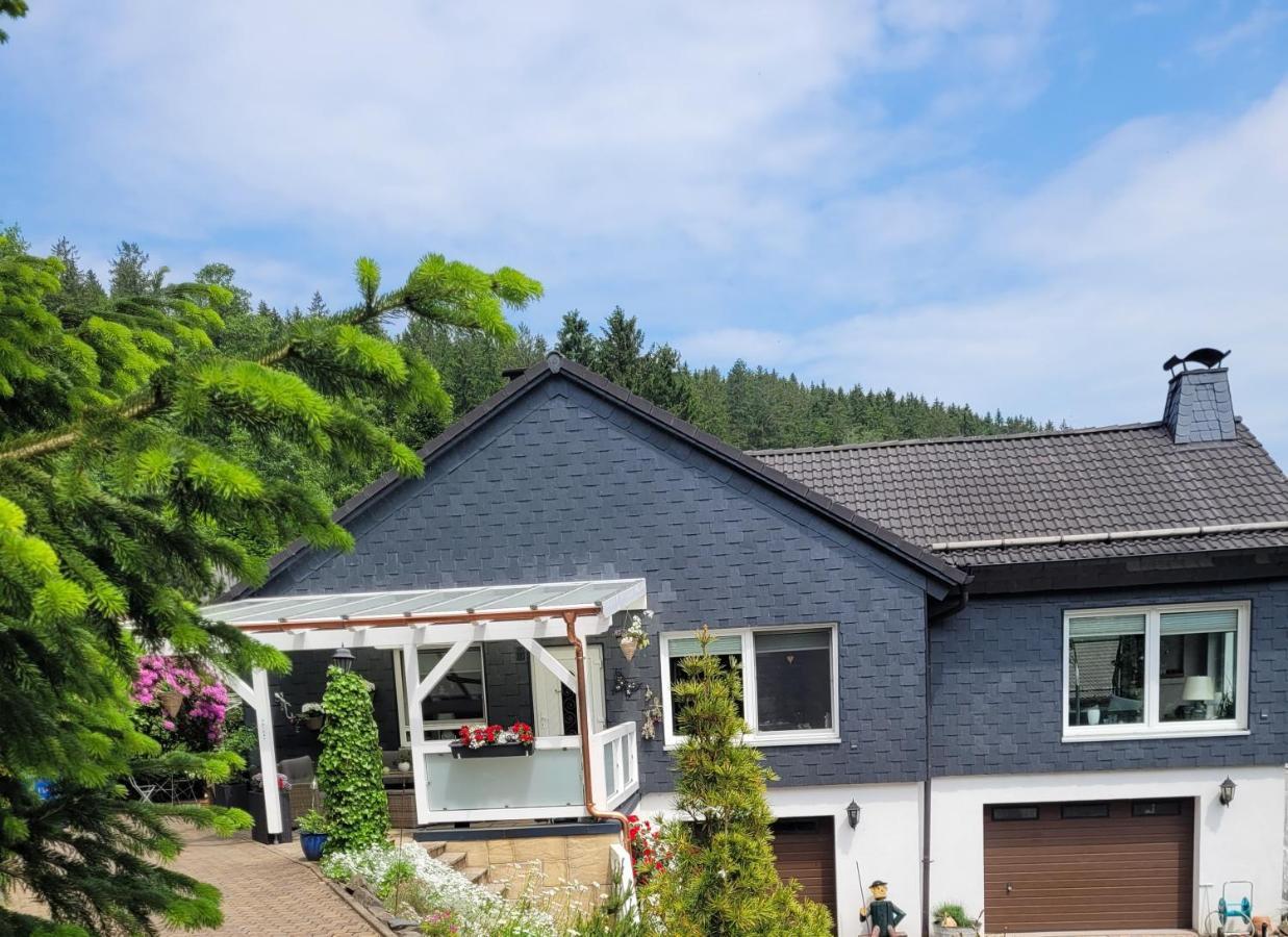 Gaestezimmer Haus Talblick Lautenthal Ngoại thất bức ảnh